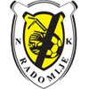 Nk Radomlje